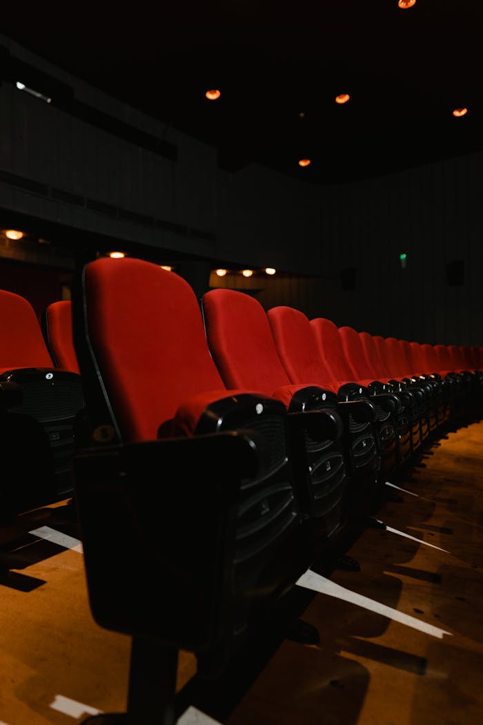 services-01 Rows of empty red cinema seats in a dimly lit theater, captured with a dramatic angle.